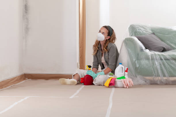 Reliable Mold Testing contractor in Perry Hall, MD by WQB Mold Removal